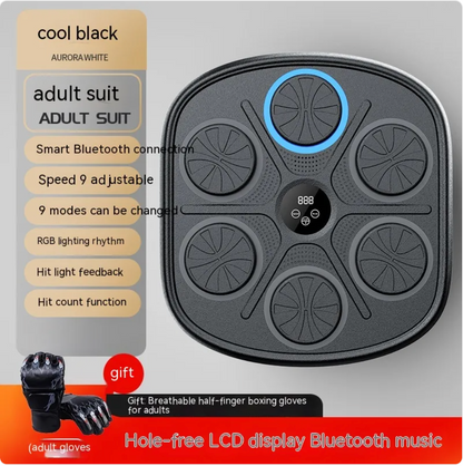 Music Boxing Target Wall Trainer