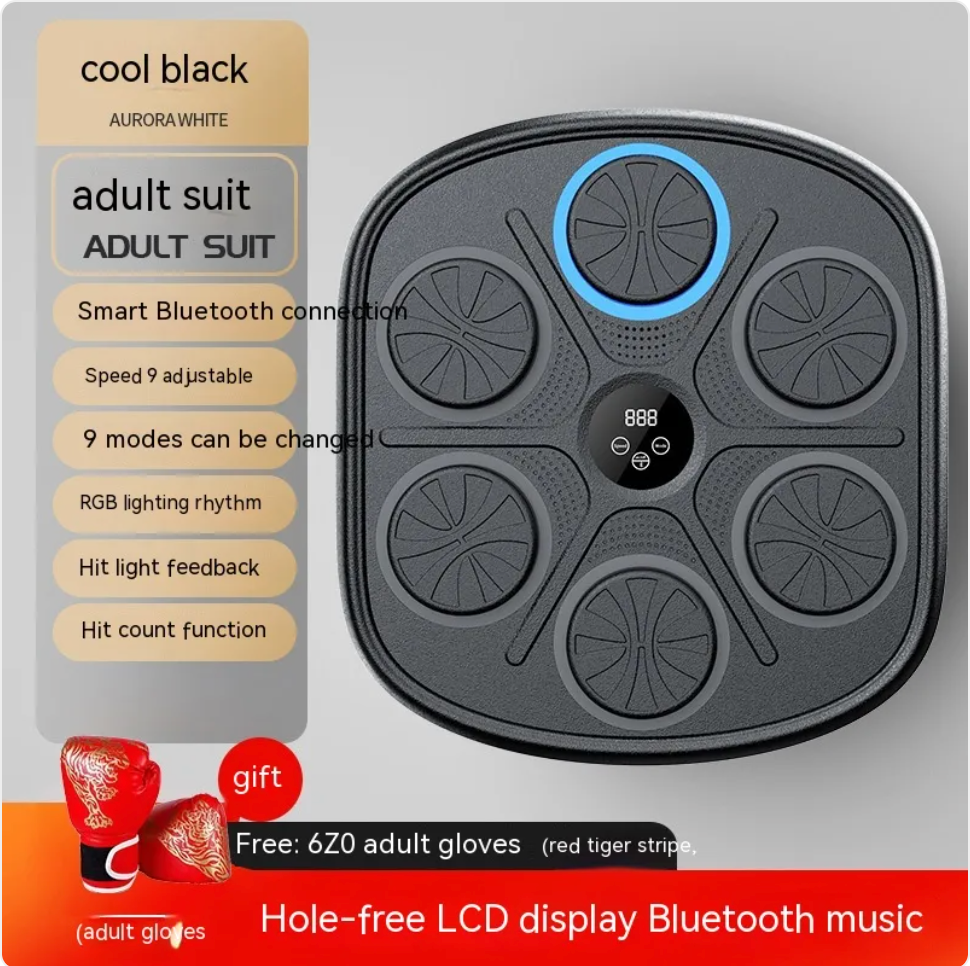 Music Boxing Target Wall Trainer