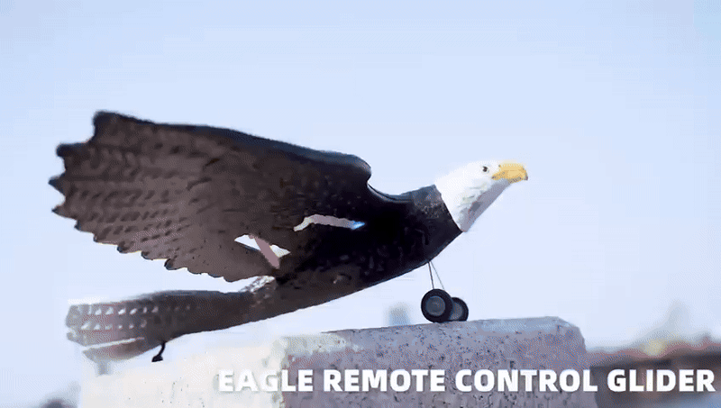 RC Eagle For Kids