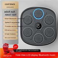 Music Boxing Target Wall Trainer