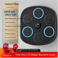 Music Boxing Target Wall Trainer