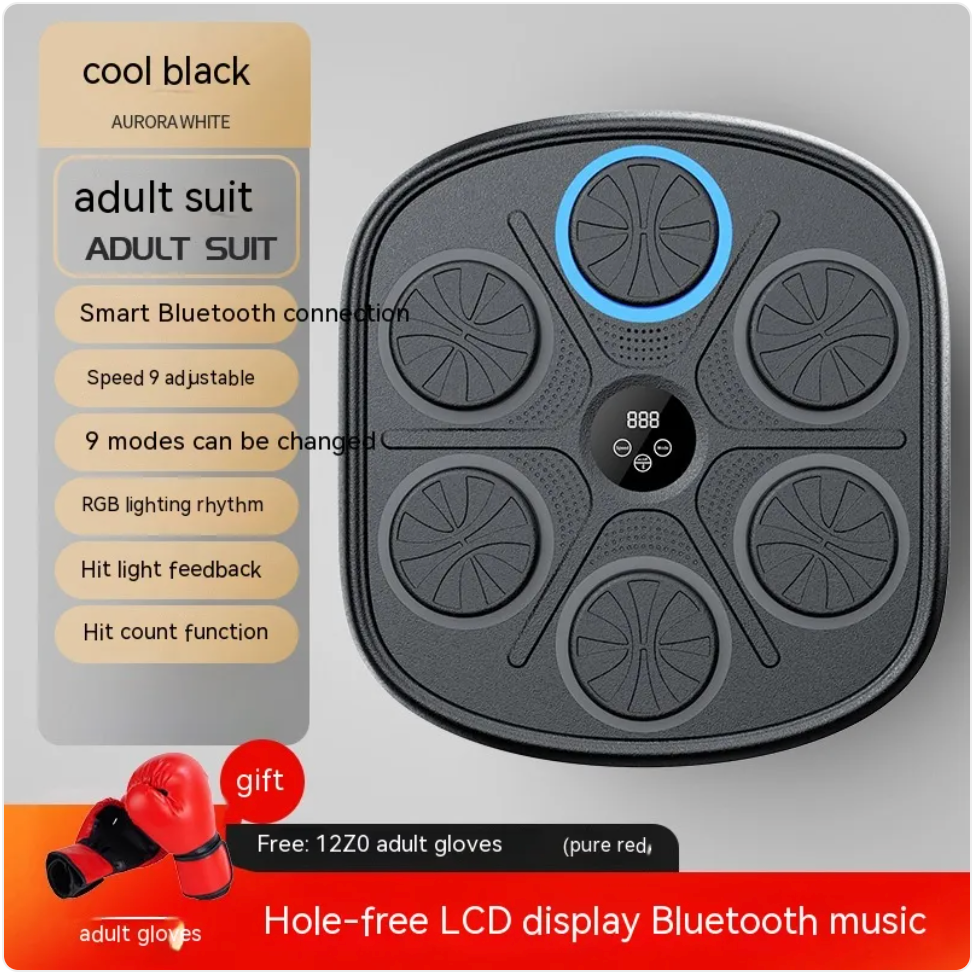 Music Boxing Target Wall Trainer