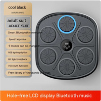 Music Boxing Target Wall Trainer