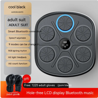 Music Boxing Target Wall Trainer