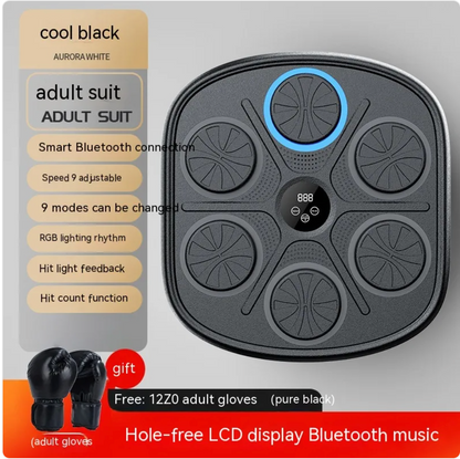 Music Boxing Target Wall Trainer