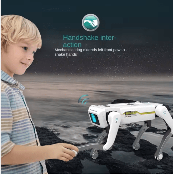 Smart Dog Multifunctional Toy ©